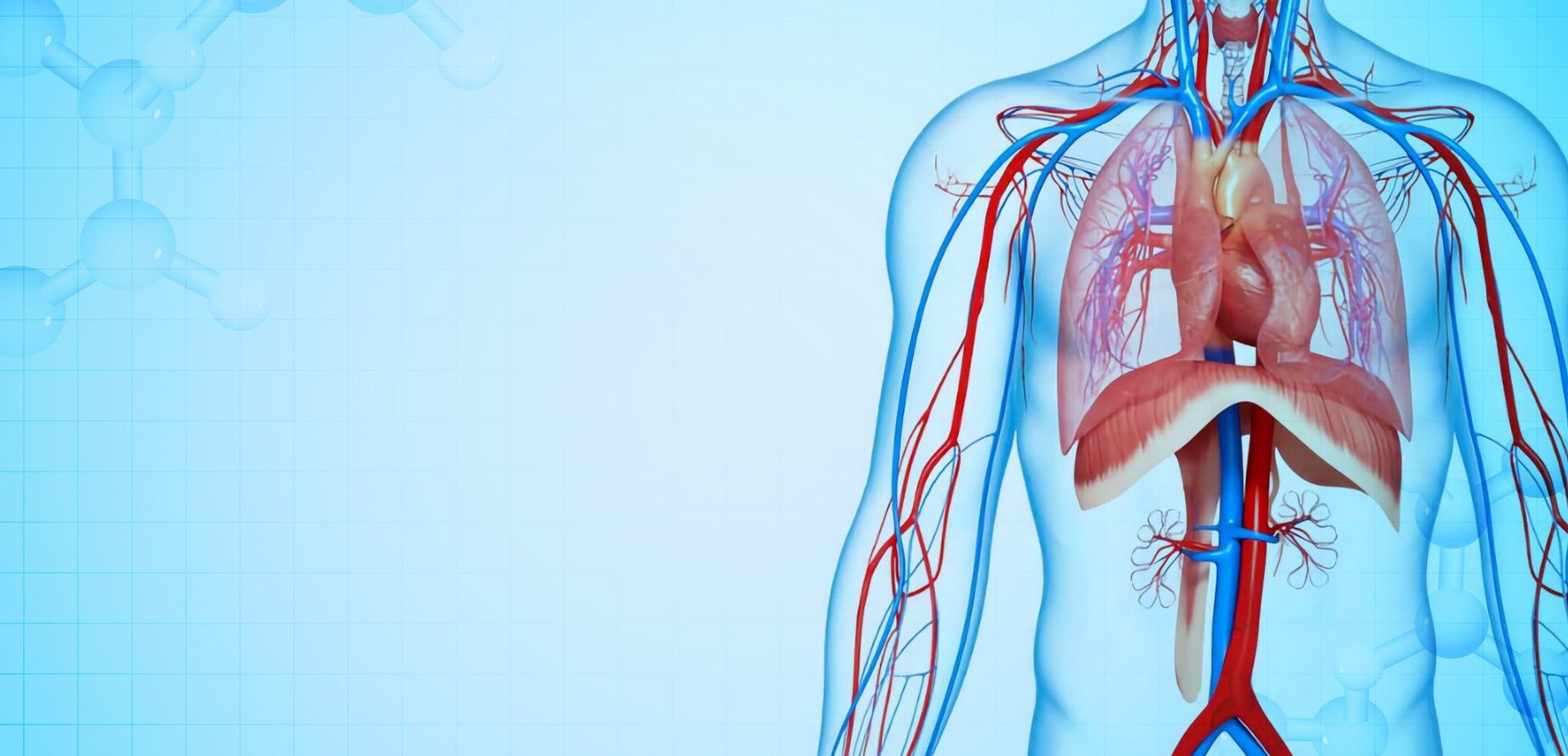 شرکت مواد پلیمری NINGBO LINSTANT،. محدود