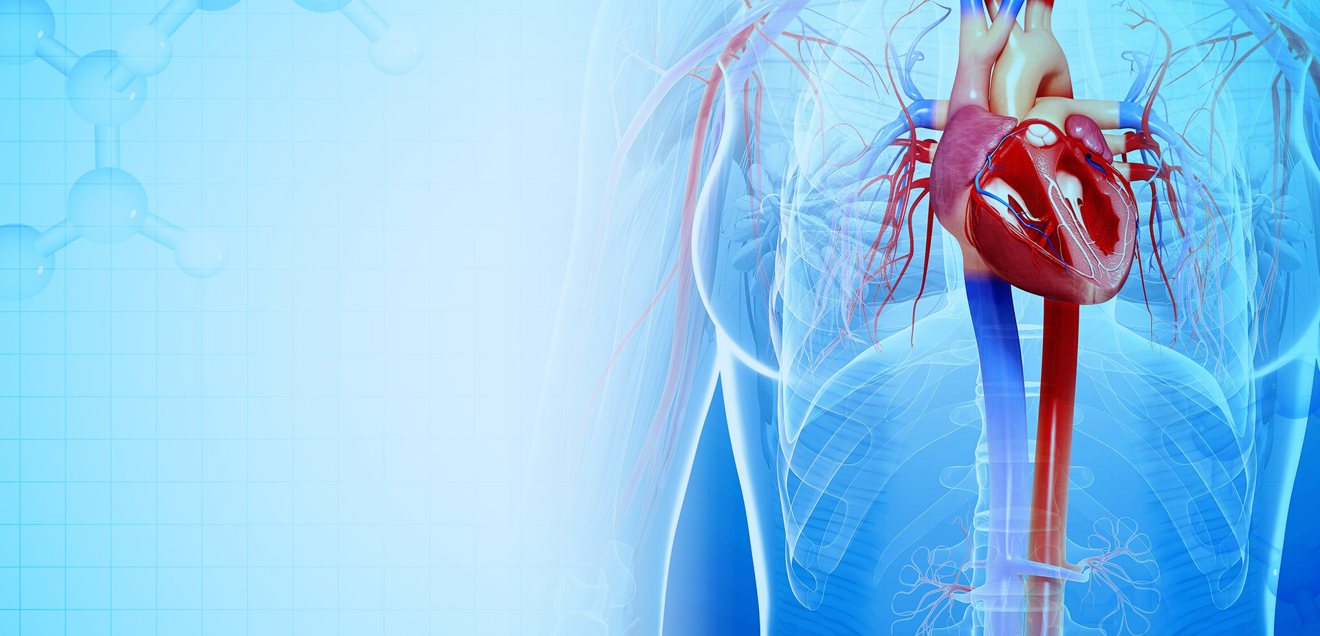 شرکت مواد پلیمری NINGBO LINSTANT،. محدود